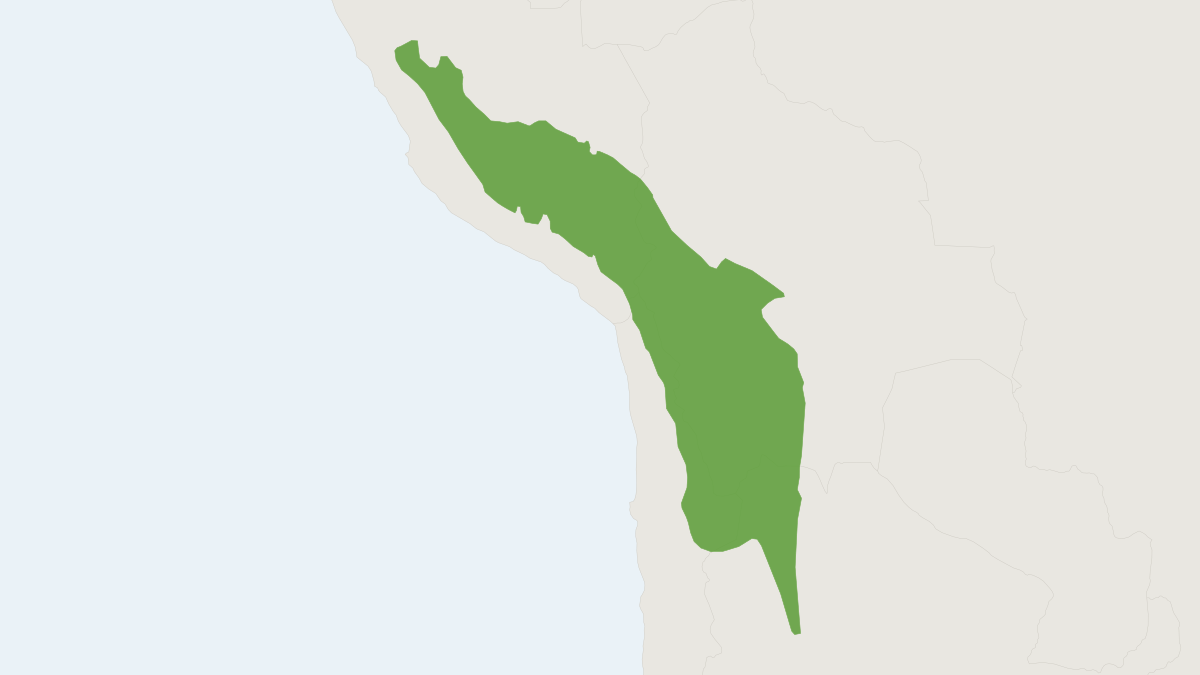 Range map of the Andean Vesper Mouse (Calomys lepidus) covering Argentina, Bolivia and Chile