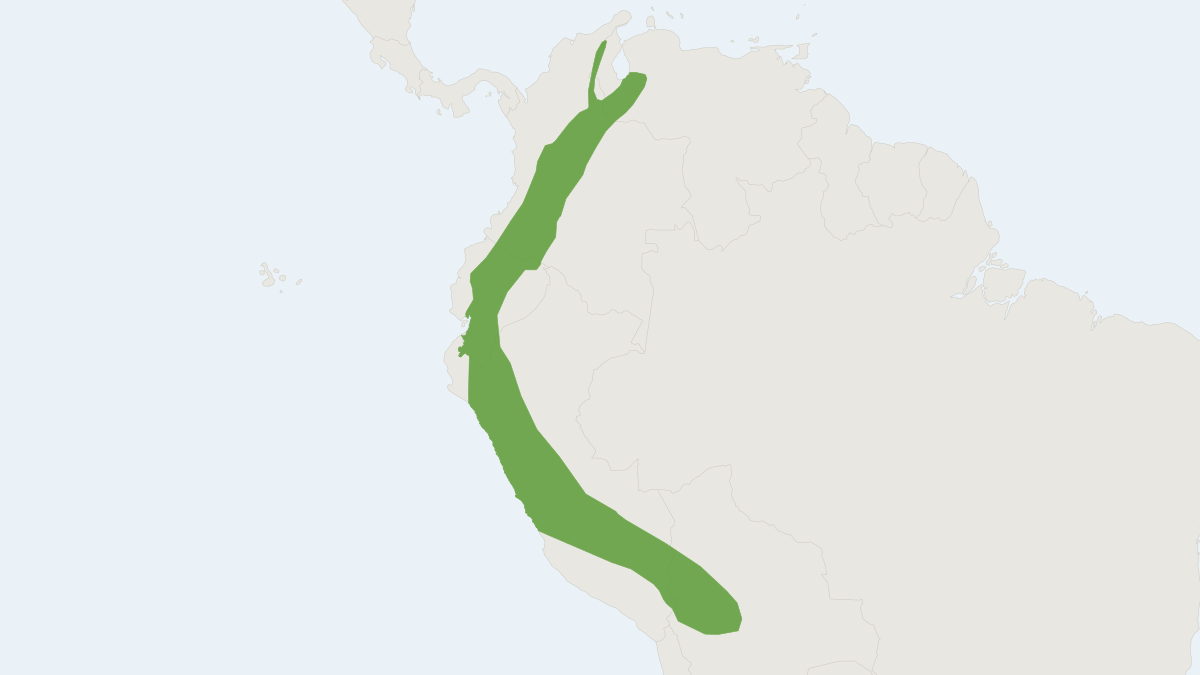 Range map of the Andean White-eared Opossum (Didelphis pernigra)