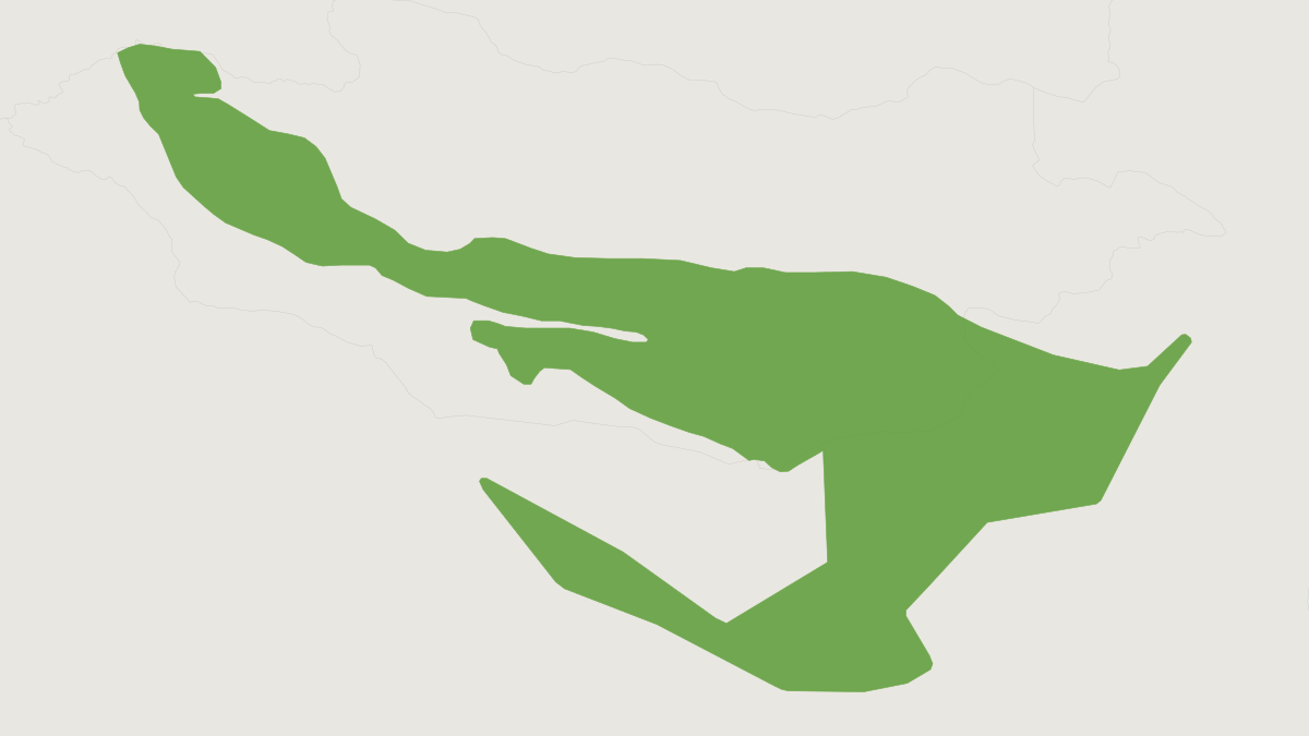 Range map of the Andrews's Three-toed Jerboa (Stylodipus andrewsi)