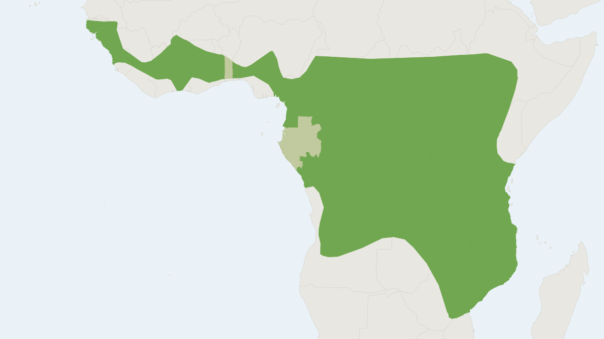 Range map of the Angolan Fruit Bat (Myonycteris angolensis)