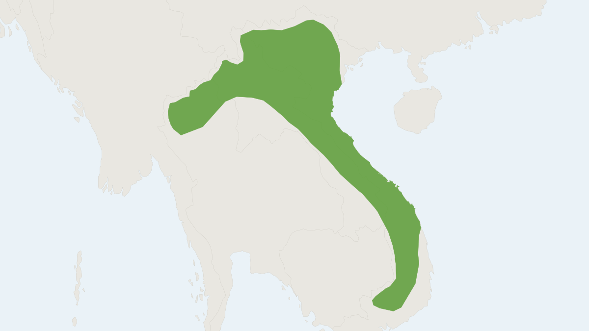 Range map of the Annam Tube-nosed Bat (Murina annamitica)