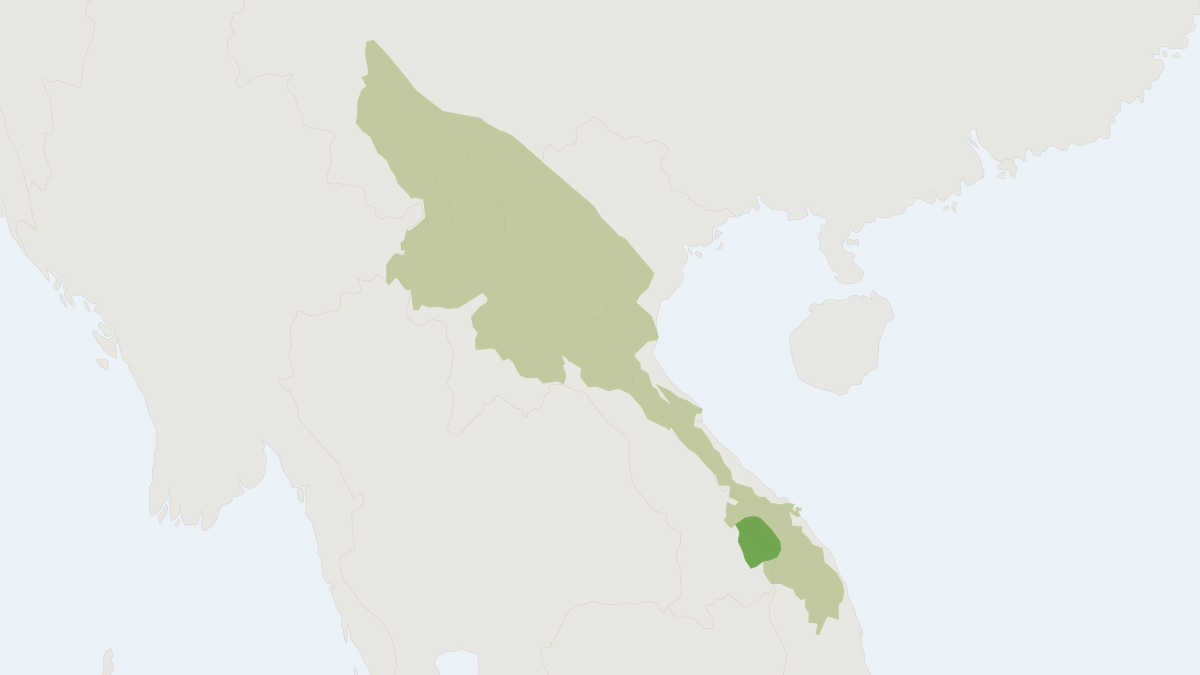Range map of the Annamite Muntjac (Muntiacus truongsonensis)