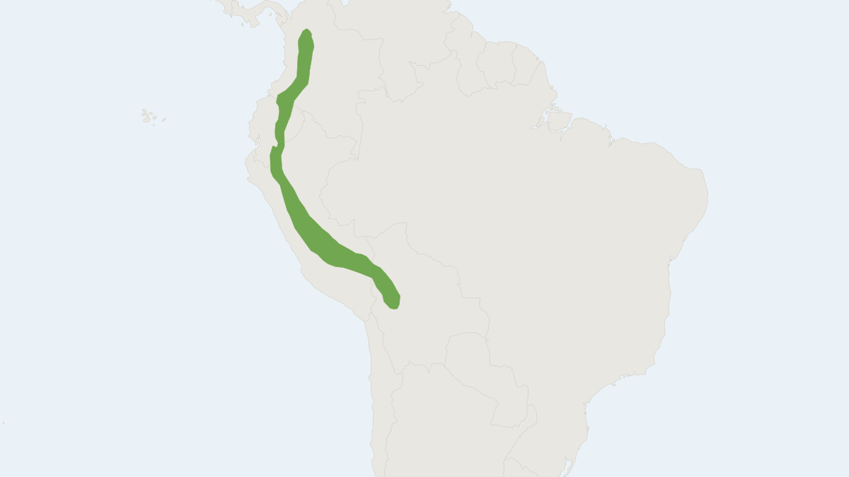 Range map of the Anoura aequatoris (Anoura aequatoris)