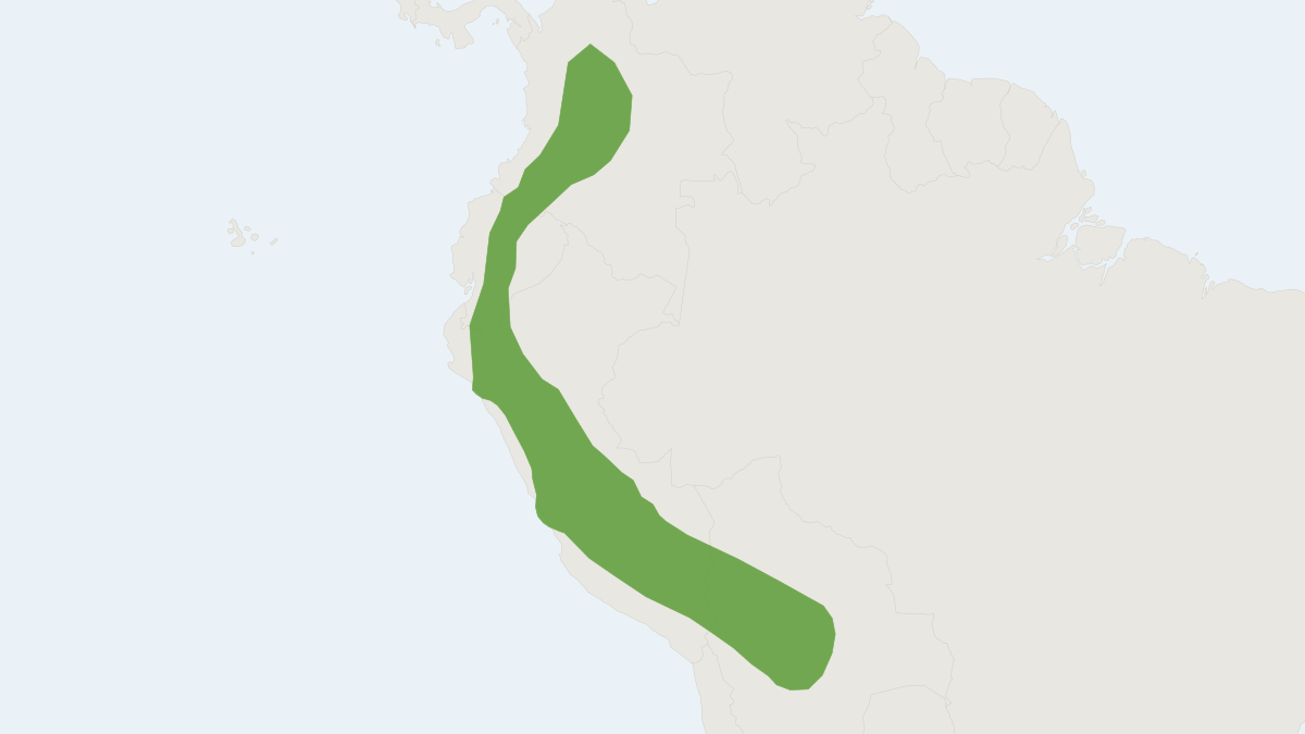 Range map of the Anoura peruana (Anoura peruana)