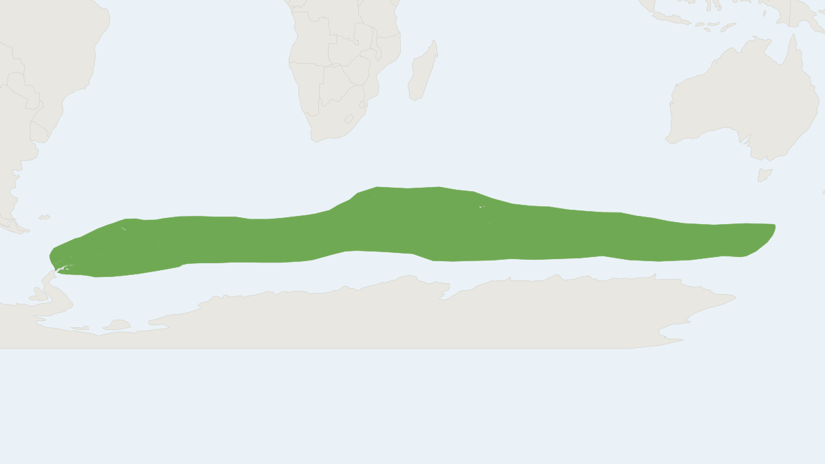 Range map of the Antarctic Fur Seal (Arctocephalus gazella) covering Antarctica, Australia and Georgia