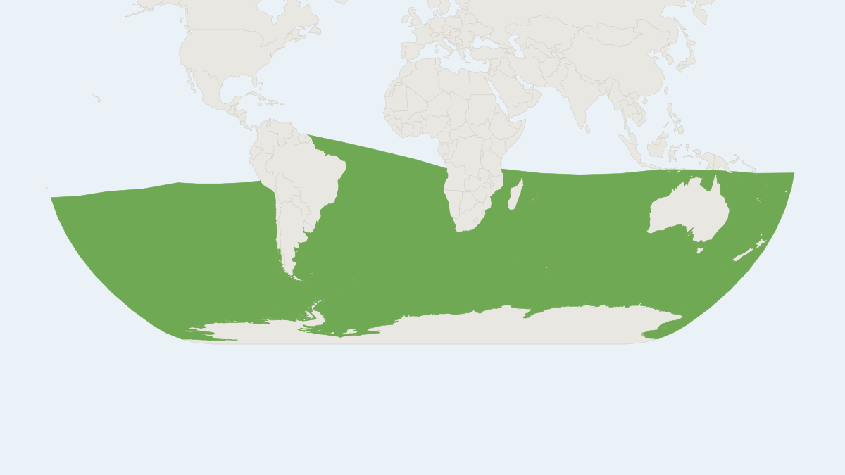 Range map of the Antarctic Minke Whale (Balaenoptera bonaerensis) covering Antarctica, Australia and New Zealand
