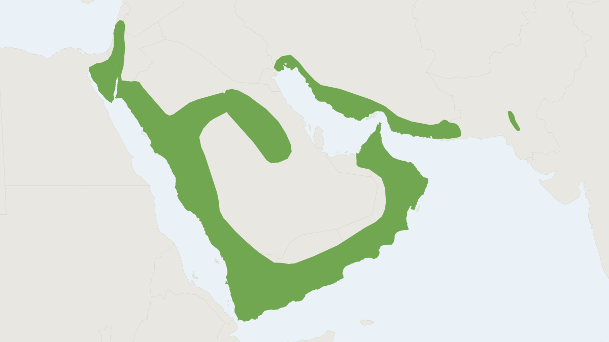 Range map of the Arabian Spiny Mouse (Acomys dimidiatus)