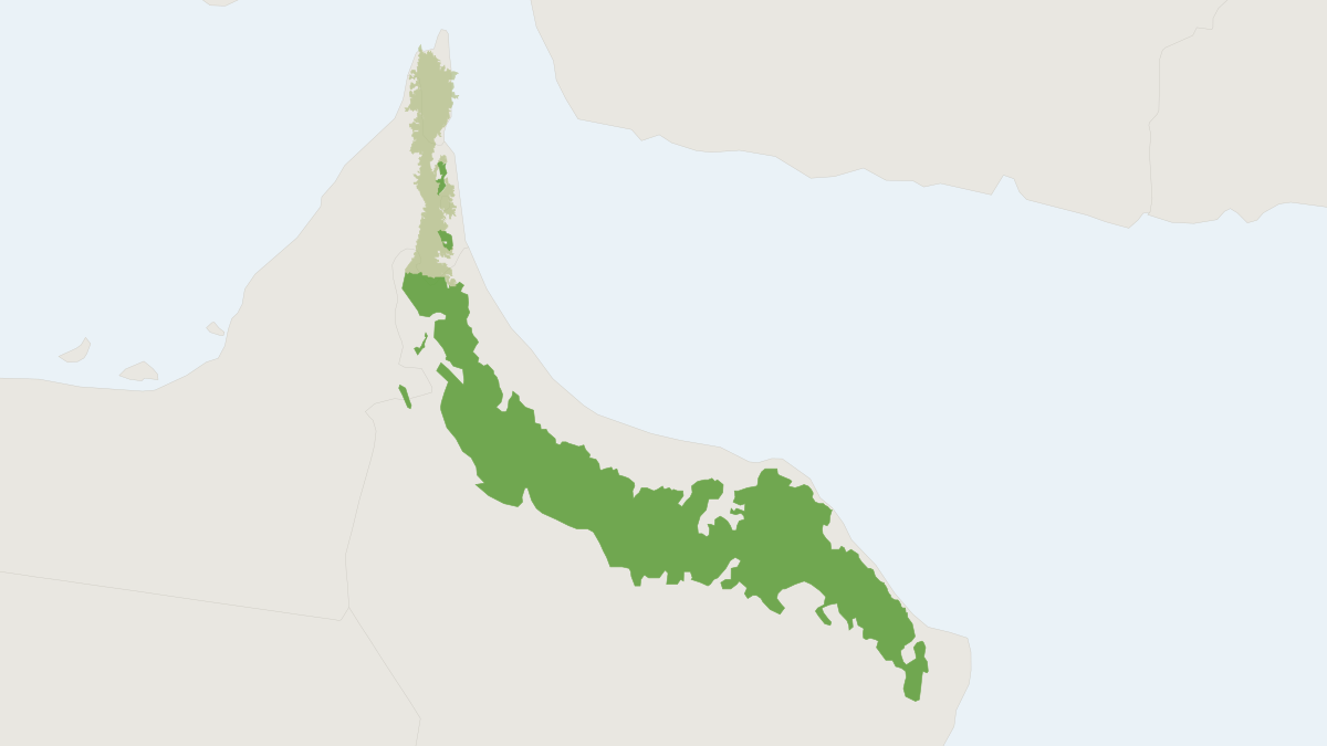 Range map of the Arabian Tahr (Arabitragus jayakari)