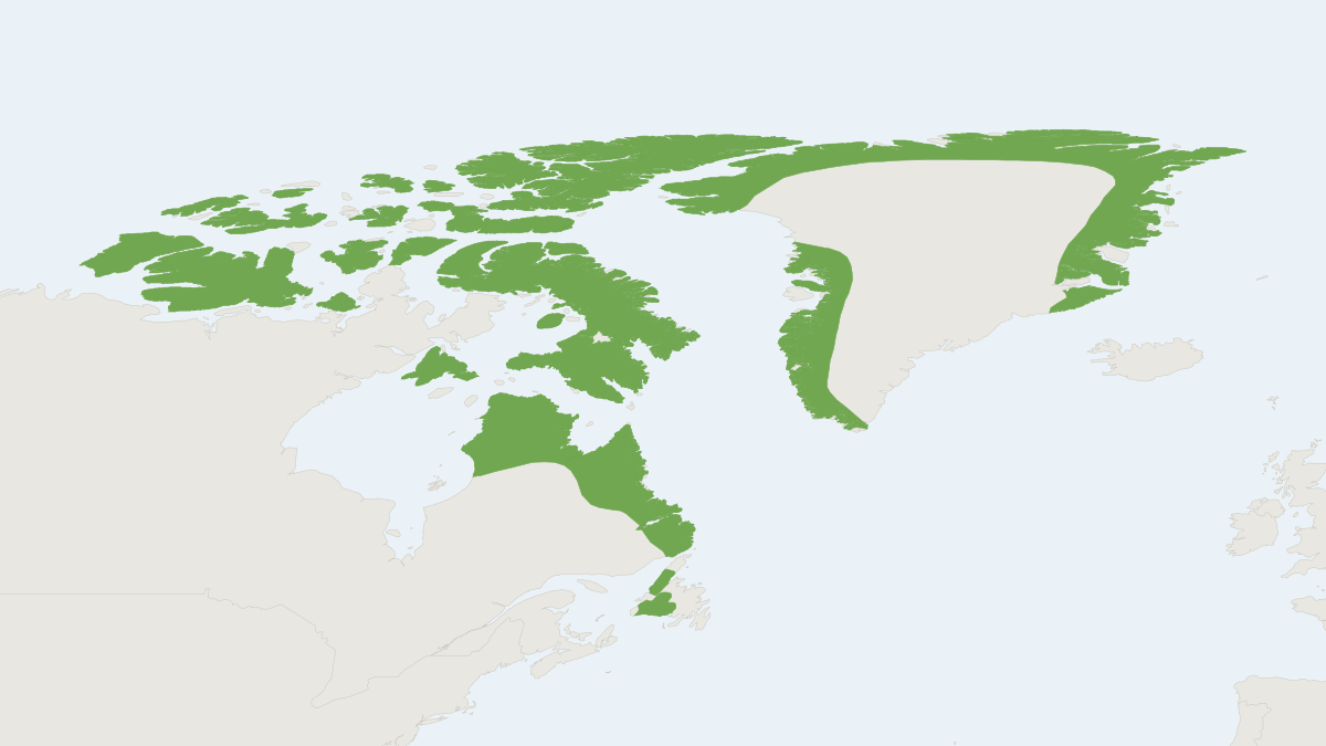 Range map of the Arctic Hare (Lepus arcticus) covering Canada and Greenland