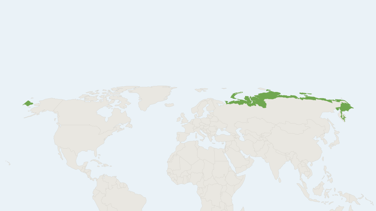 Range map of the Arctic Lemming (Dicrostonyx torquatus)