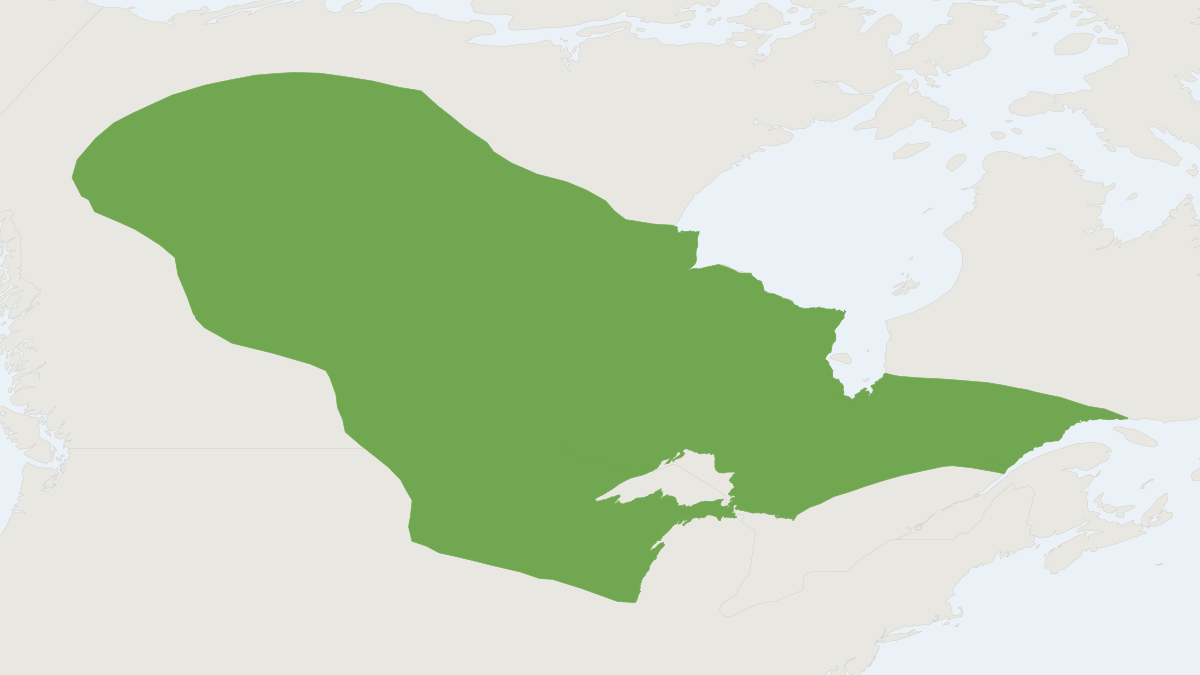 Range map of the Arctic Shrew (Sorex arcticus)