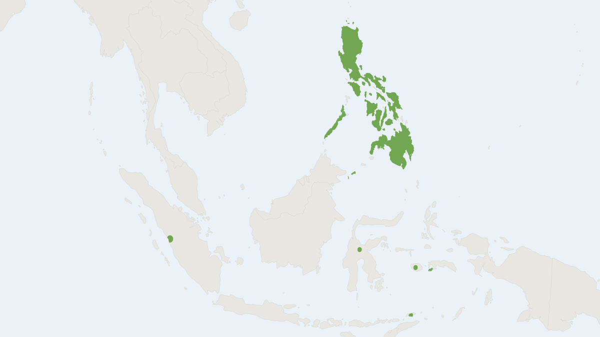 Range map of the Arcuate Horseshoe Bat (Rhinolophus arcuatus)