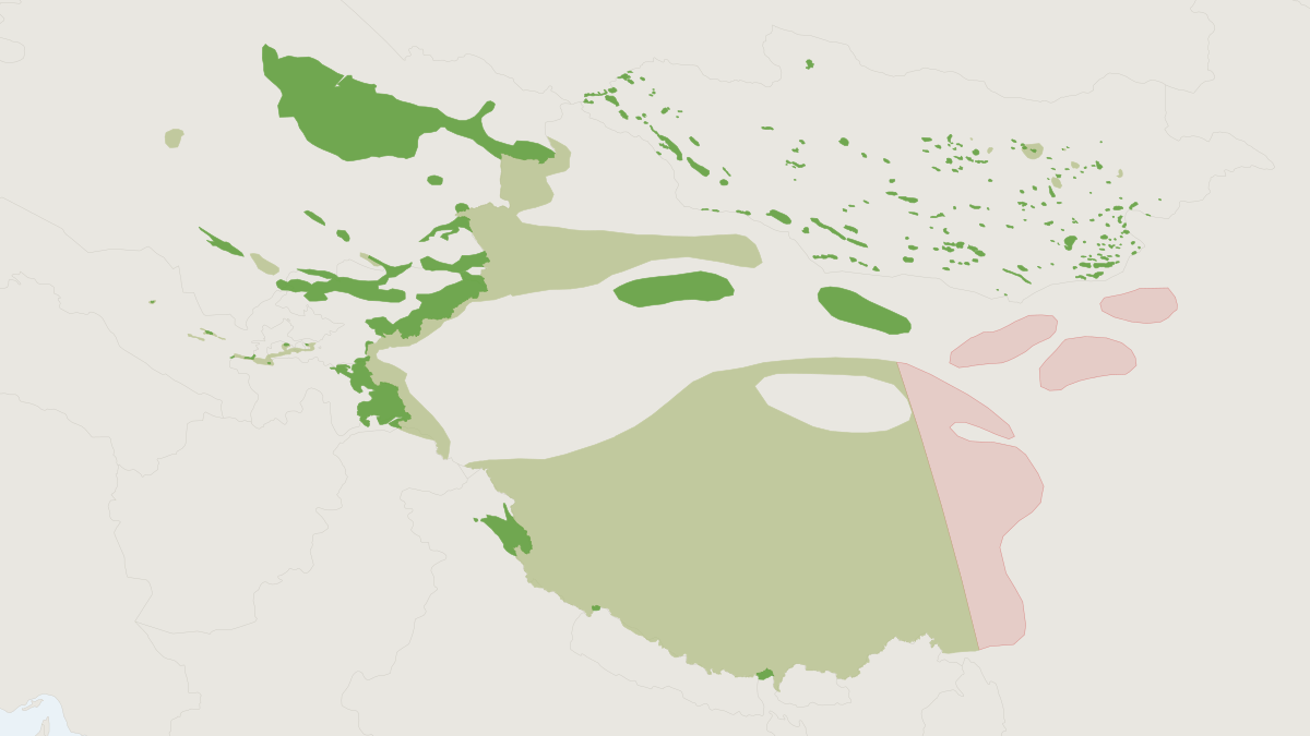 Range map of the Argali (Ovis ammon) covering Afghanistan, China and India