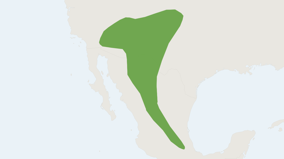Range map of the Arizona Myotis (Myotis occultus)