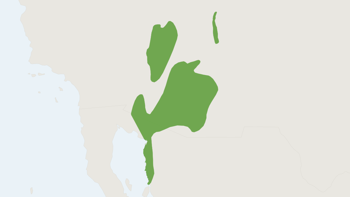 Range map of the Arizona Pocket Mouse (Perognathus amplus)