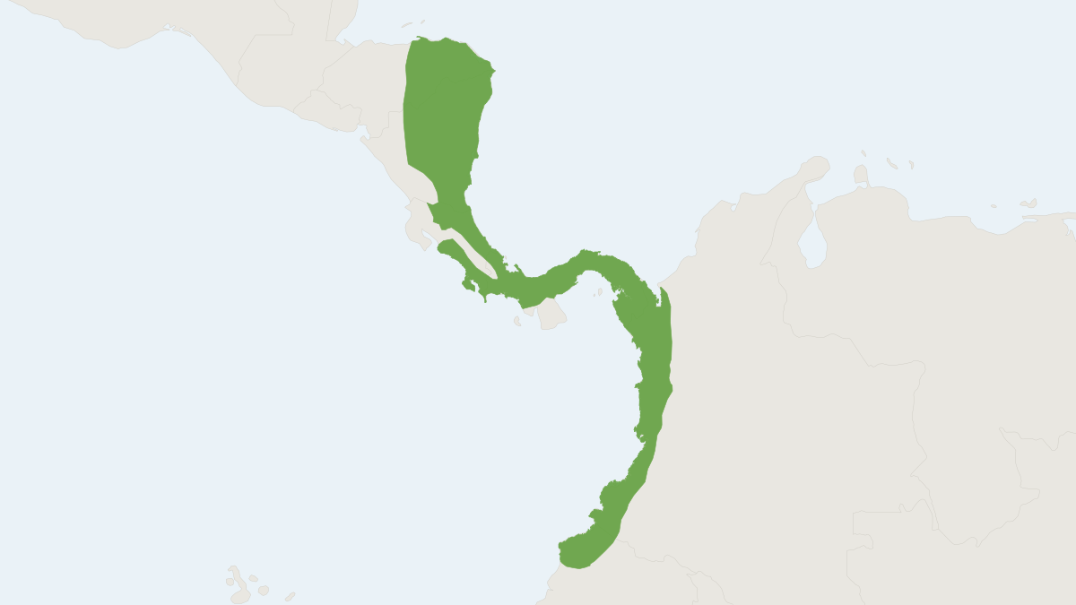 Range map of the Armored Rat (Hoplomys gymnurus)