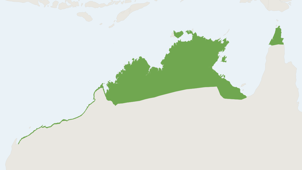 Range map of the Arnhem Long-eared Bat (Nyctophilus arnhemensis)
