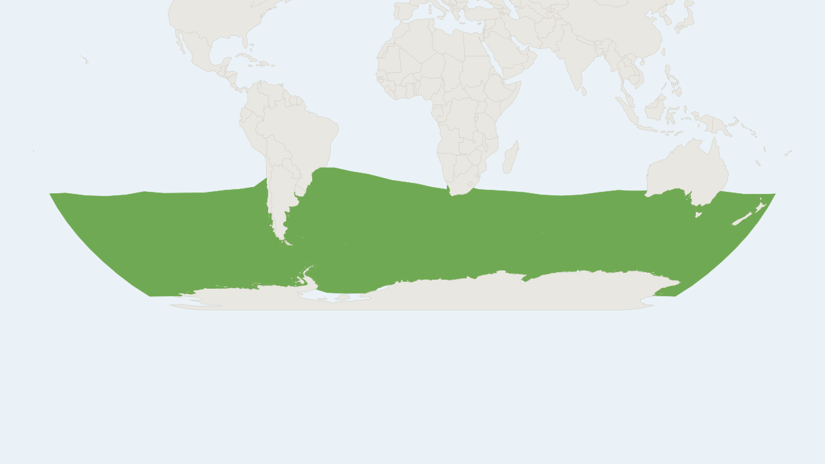 Range map of the Arnoux's Beaked Whale (Berardius arnuxii) covering Antarctica, Argentina and Australia