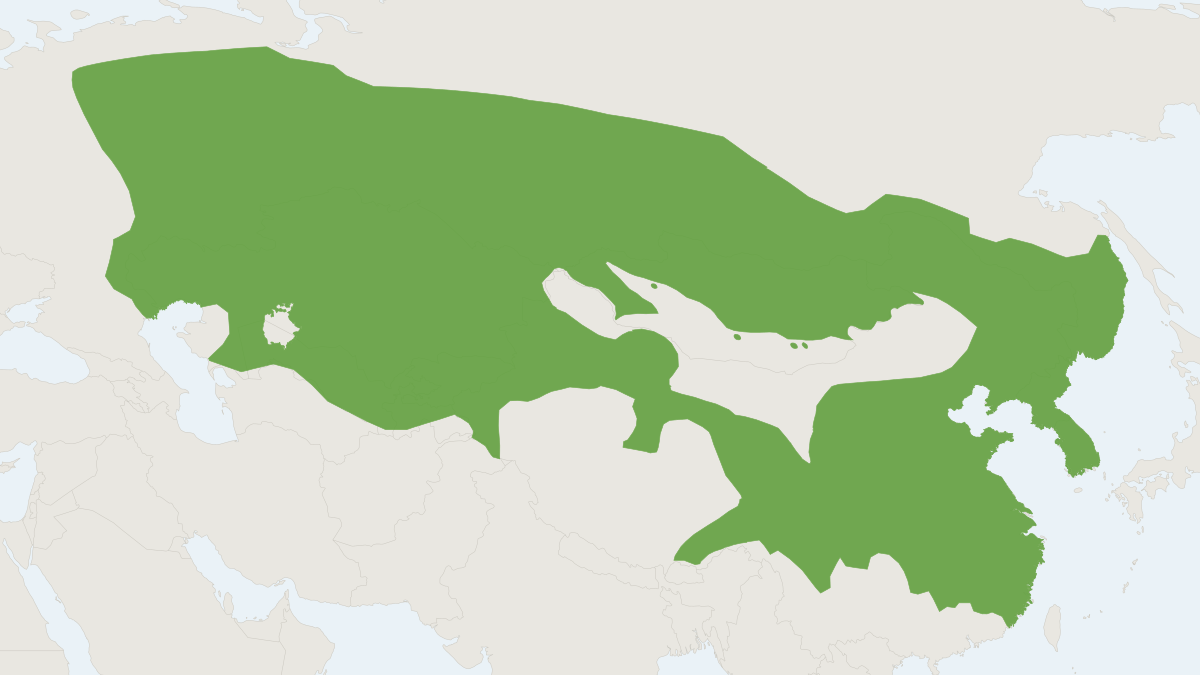 Range map of the Asian Badger (Meles leucurus)