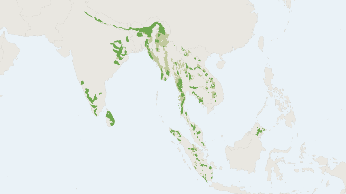 Range map of the Asian Elephant (Elephas maximus) covering Bangladesh, Bhutan and Cambodia