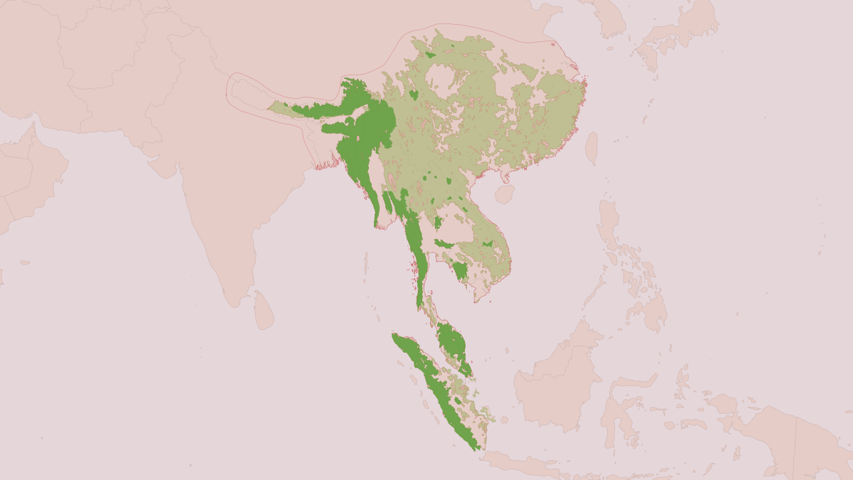 Range map of the Asian Golden Cat (Catopuma temminckii) covering Cambodia, China and India