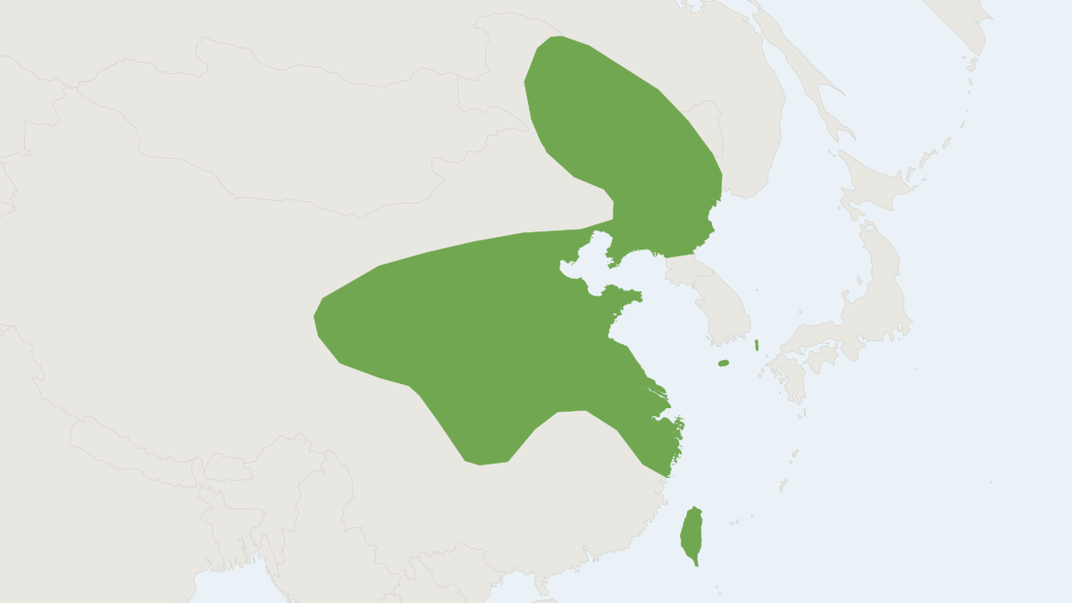 Range map of the Asian Lesser White-toothed Shrew (Crocidura shantungensis) covering China, Japan and South Korea