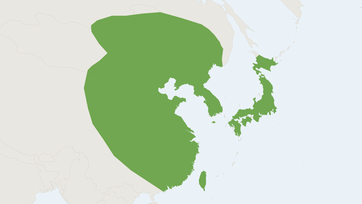 Range map of the Asian Particolored Bat (Vespertilio sinensis)