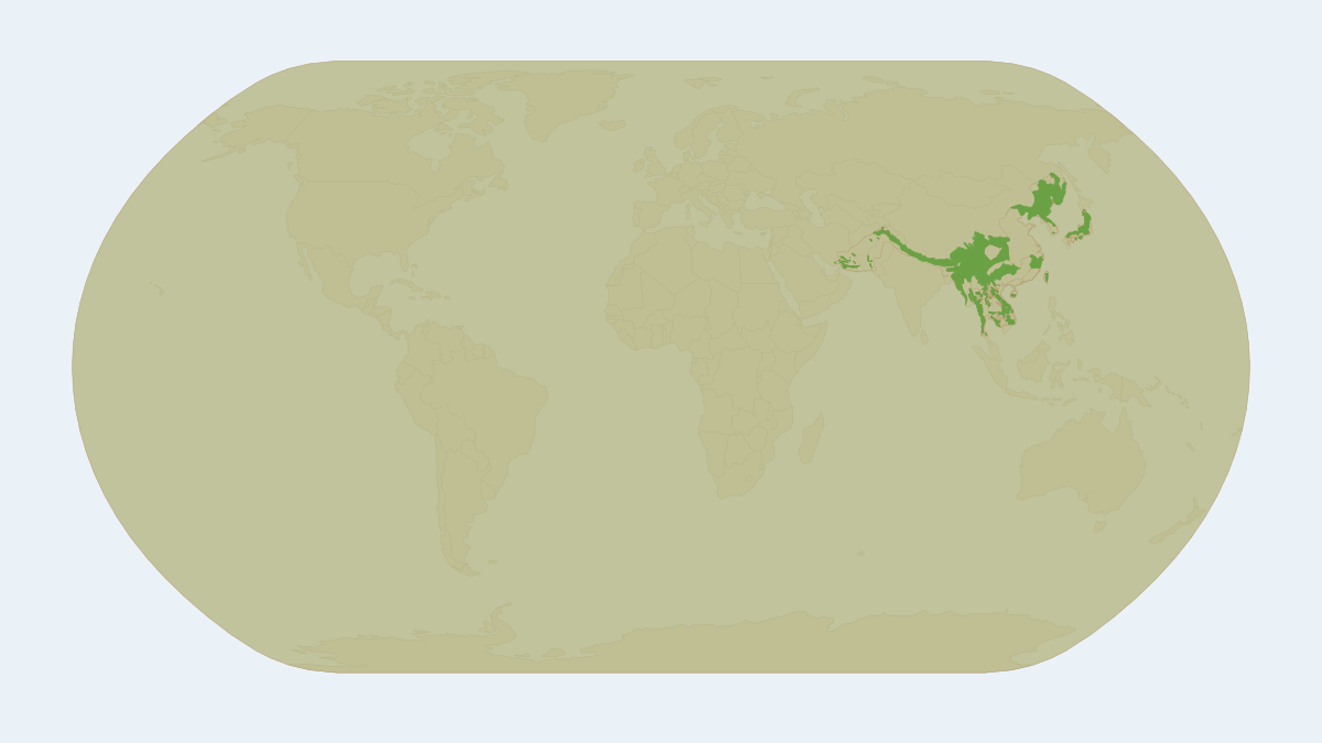 Range map of the Asiatic Black Bear (Ursus thibetanus) covering Afghanistan, China and Iran