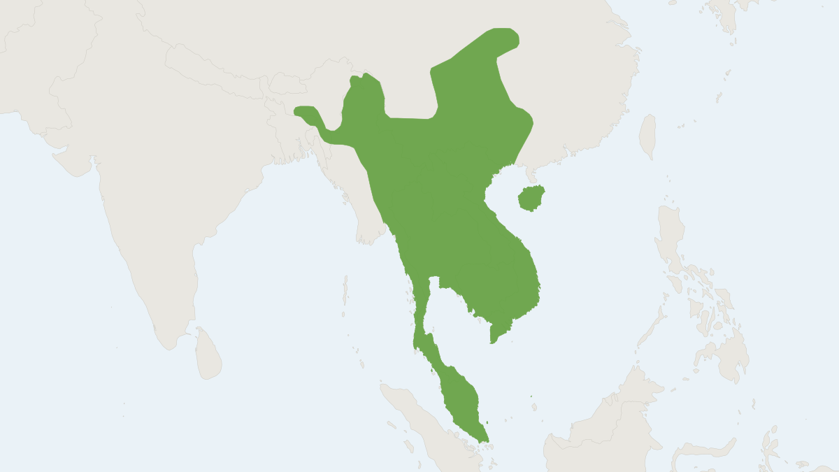 Range map of the Asiatic Brush-tailed Porcupine (Atherurus macrourus) covering Bangladesh, Cambodia and China