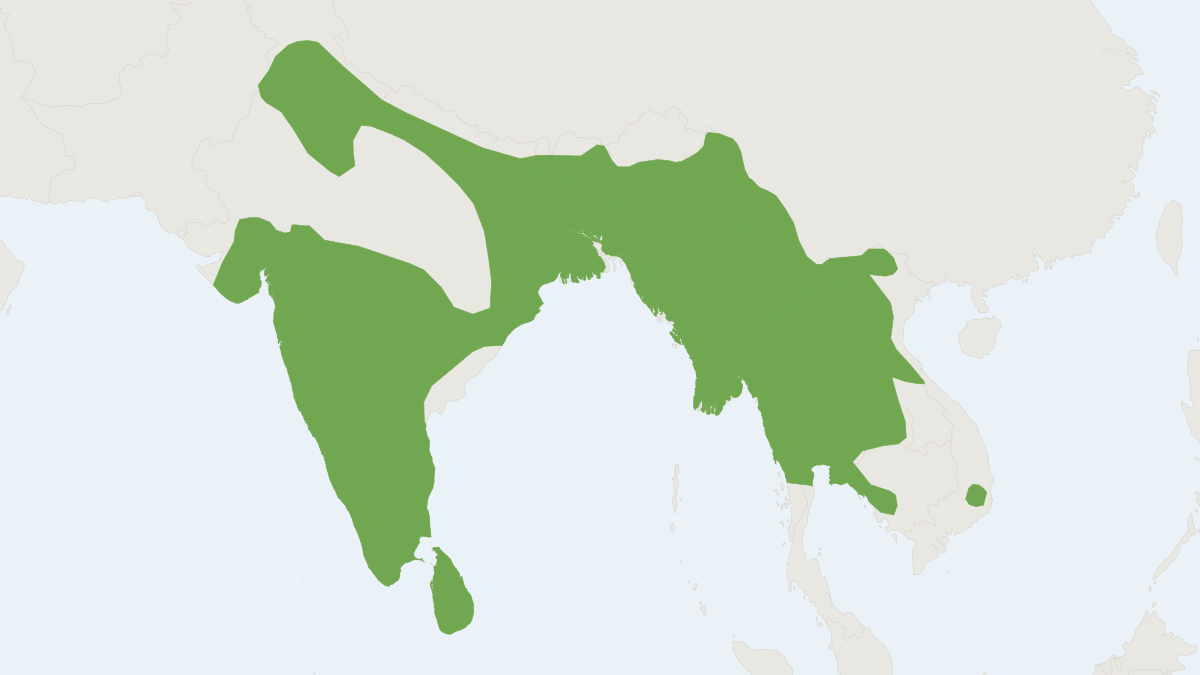 Range map of the Asiatic Long-tailed Climbing Mouse (Vandeleuria oleracea)