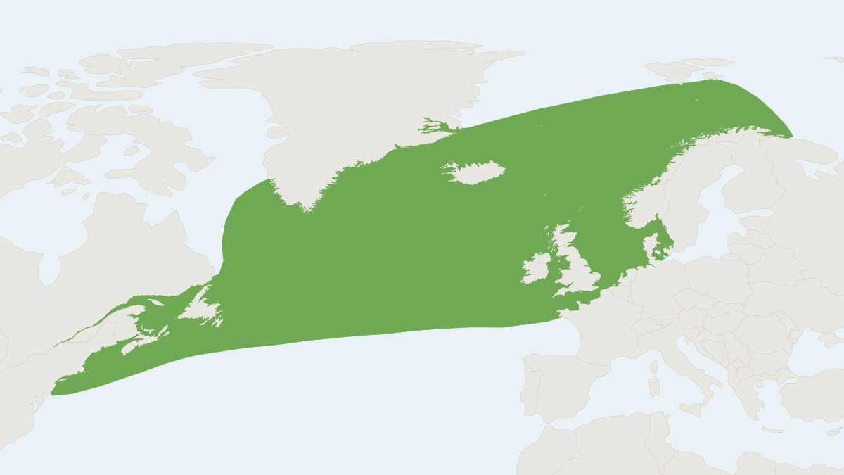 Range map of the Atlantic White-sided Dolphin (Lagenorhynchus acutus)