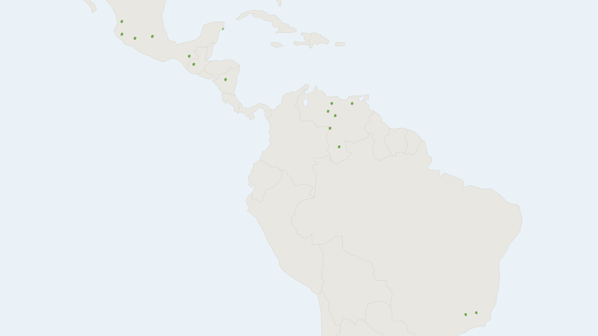 Range map of the Aztec Mastiff Bat (Molossus aztecus)