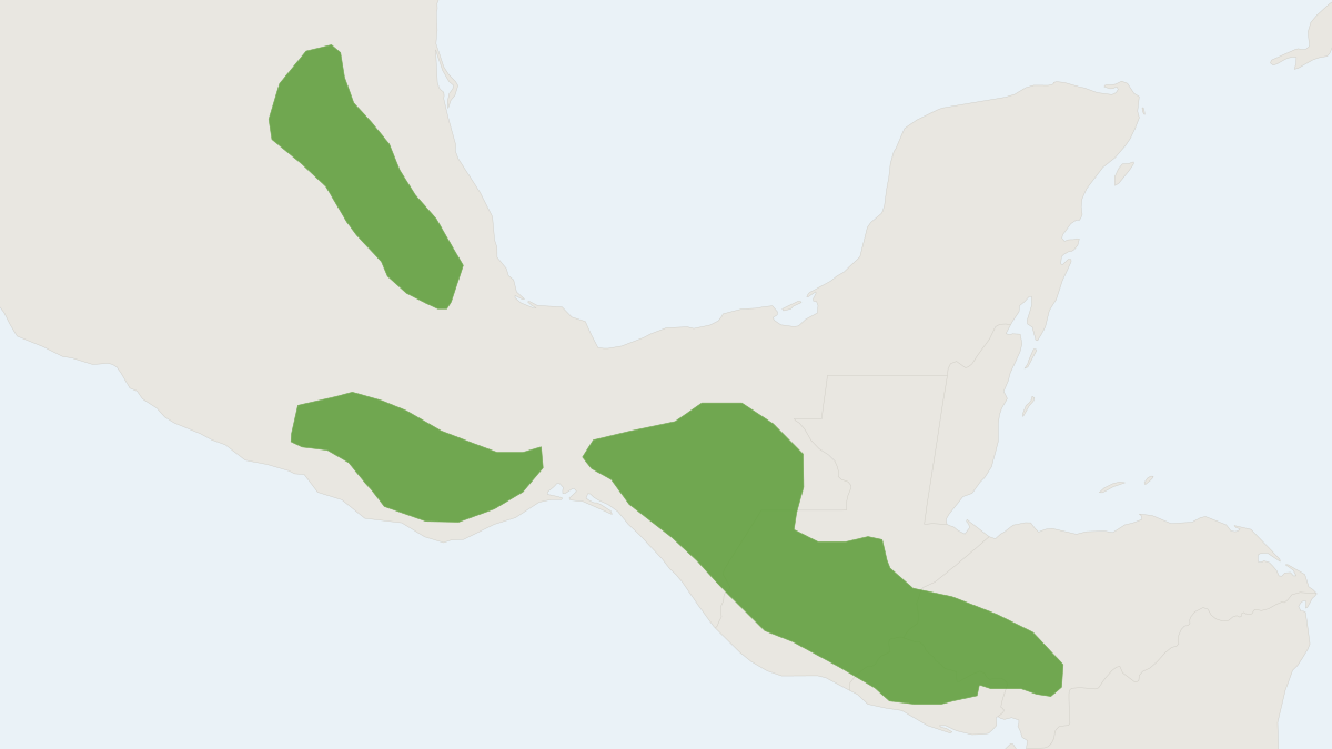 Range map of the Aztec Mouse (Peromyscus aztecus)