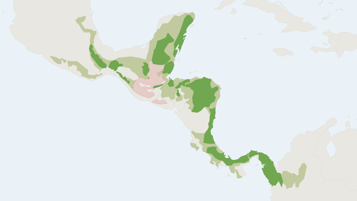 Range map of the Baird's Tapir (Tapirus bairdii) covering Belize, Colombia and Costa Rica