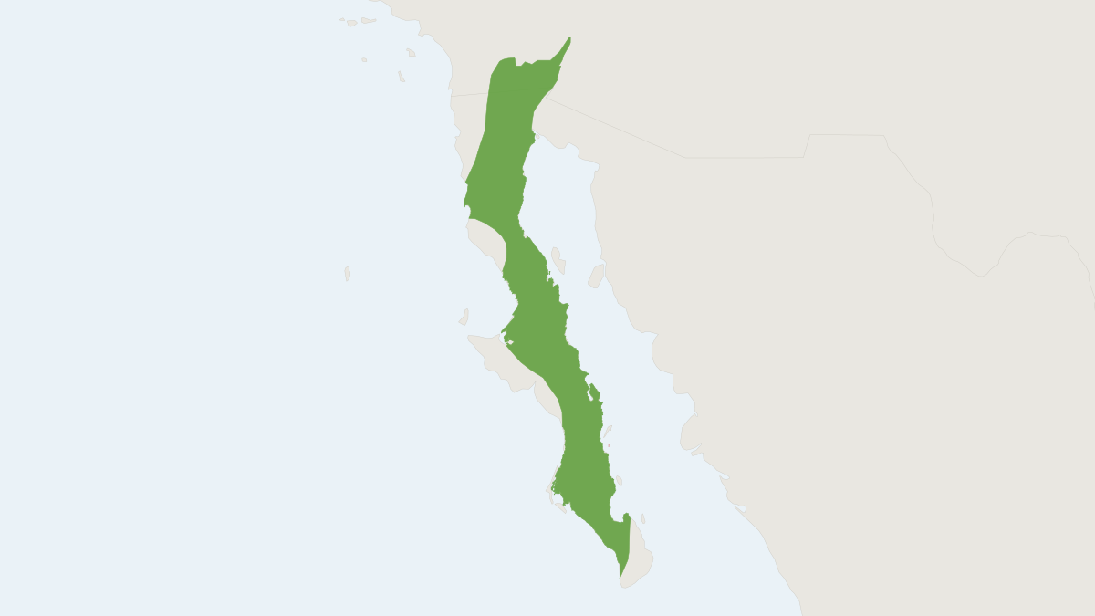 Range map of the Baja Pocket Mouse (Chaetodipus rudinoris)