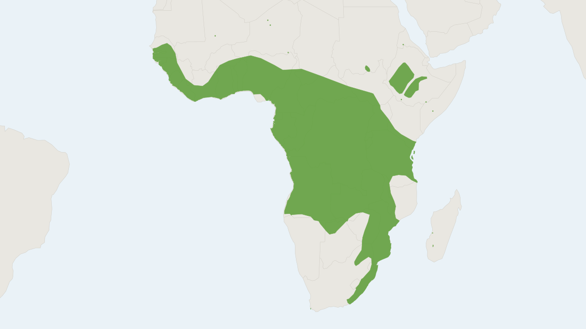 Range map of the Banana Serotine (Afronycteris nanus)