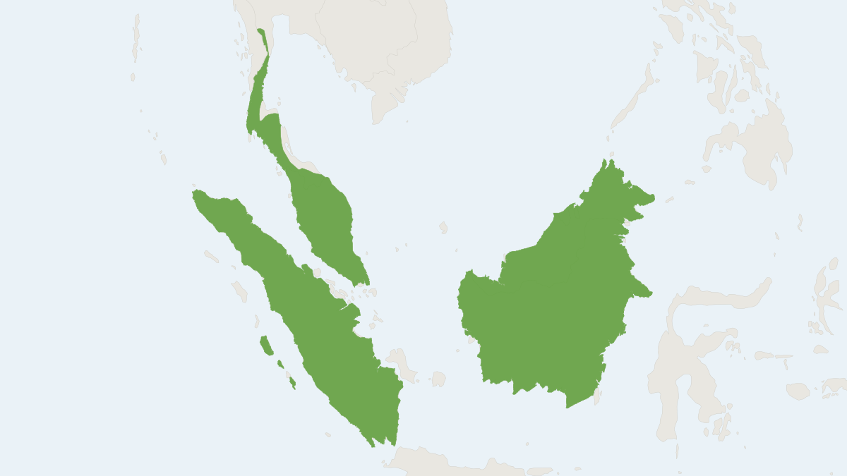 Range map of the Banded Civet (Hemigalus derbyanus)