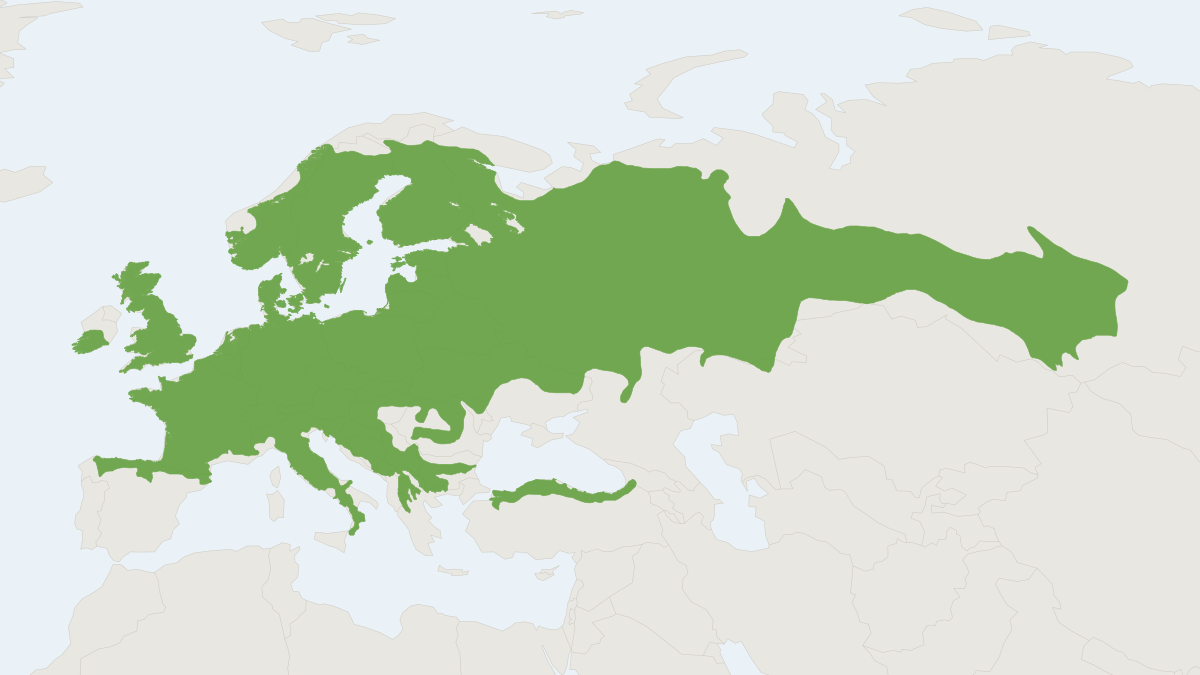 Range map of the Bank Vole (Clethrionomys glareolus) covering France, Iceland and Ireland