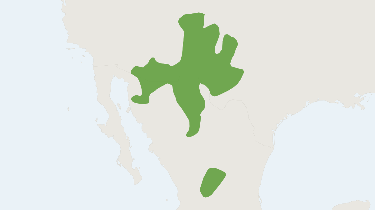 Range map of the Banner-tailed Kangaroo Rat (Dipodomys spectabilis)