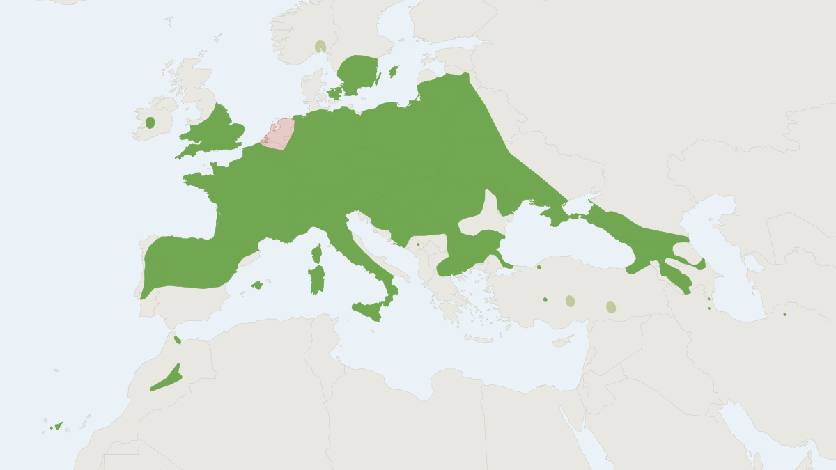 Range map of the Barbastelle Bat (Barbastella barbastellus) covering France, Germany and Lithuania