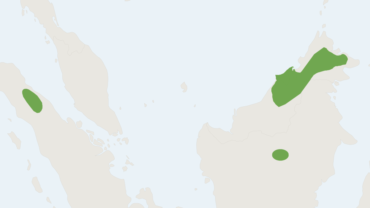Range map of the Bare-backed Rousette (Rousettus spinalatus)