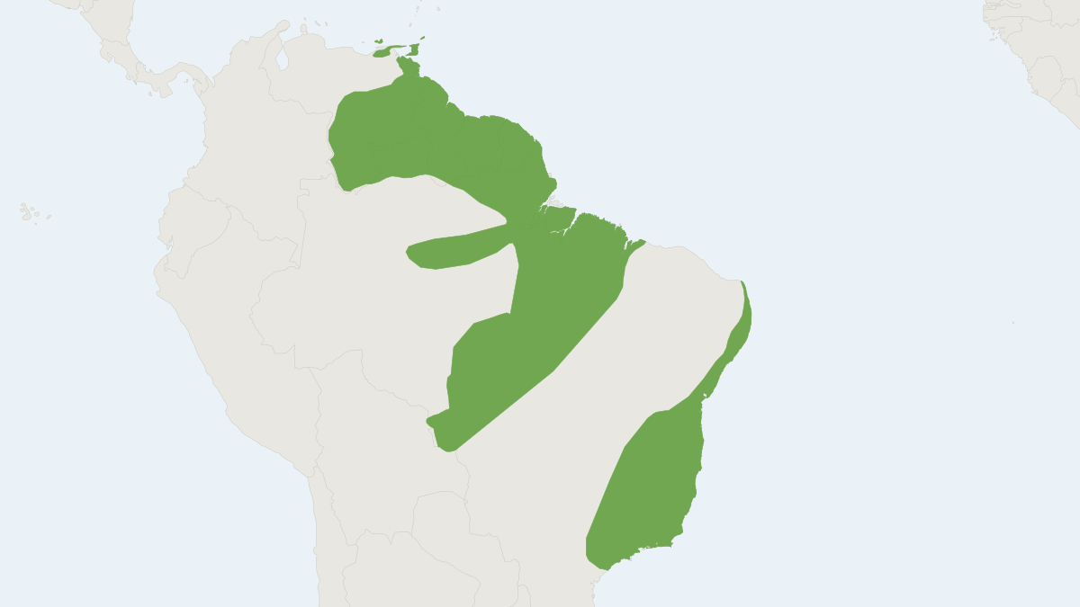 Range map of the Bare-tailed Woolly Opossum (Caluromys philander) covering Bolivia, Brazil and Colombia