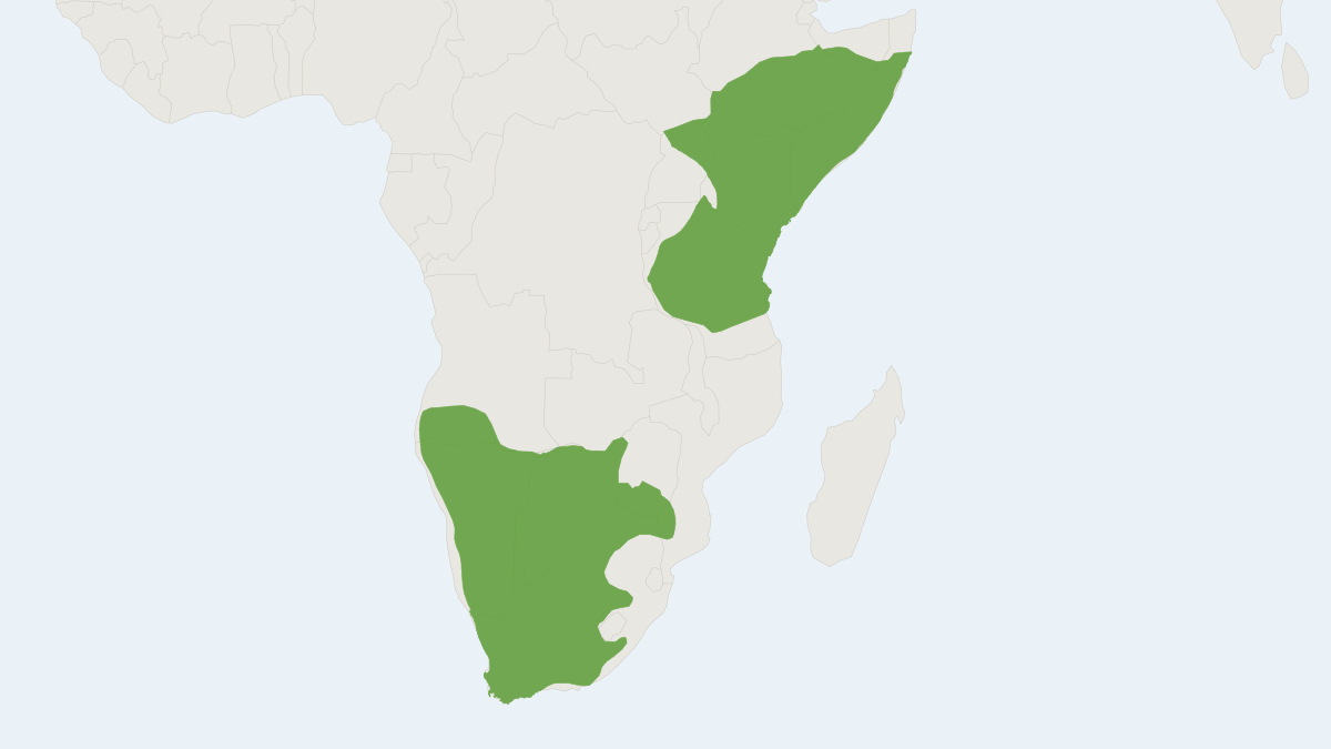 Range map of the Bat-eared Fox (Otocyon megalotis)
