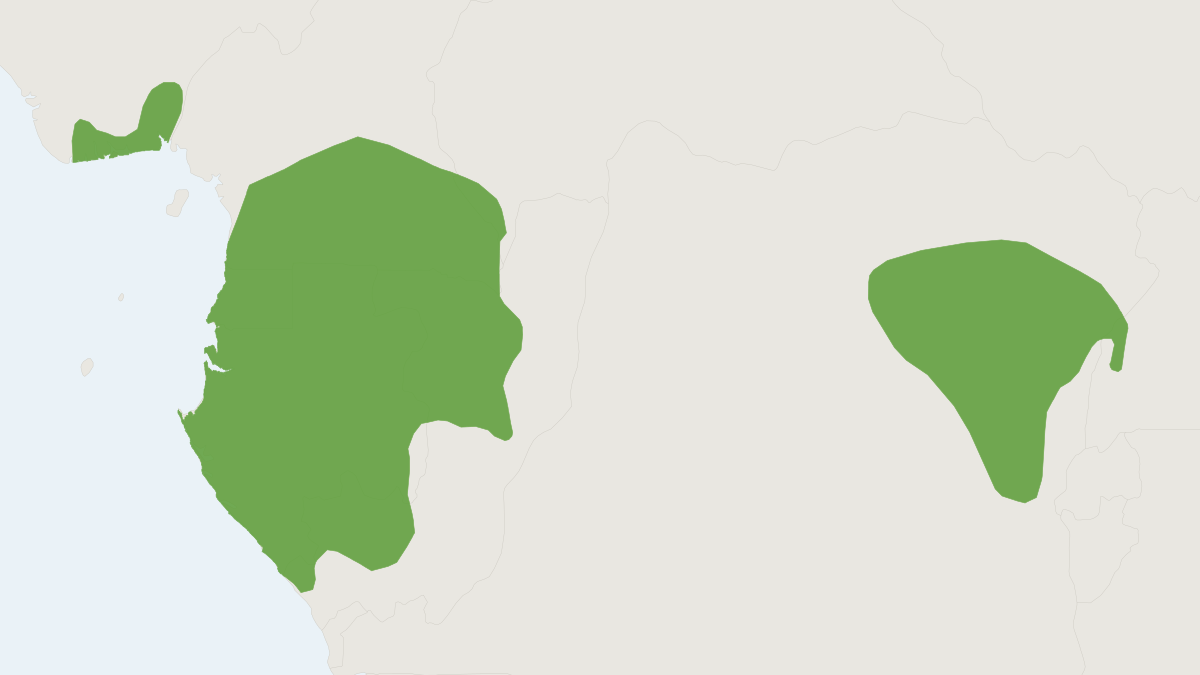 Range map of the Bates' Pygmy Antelope (Neotragus batesi)