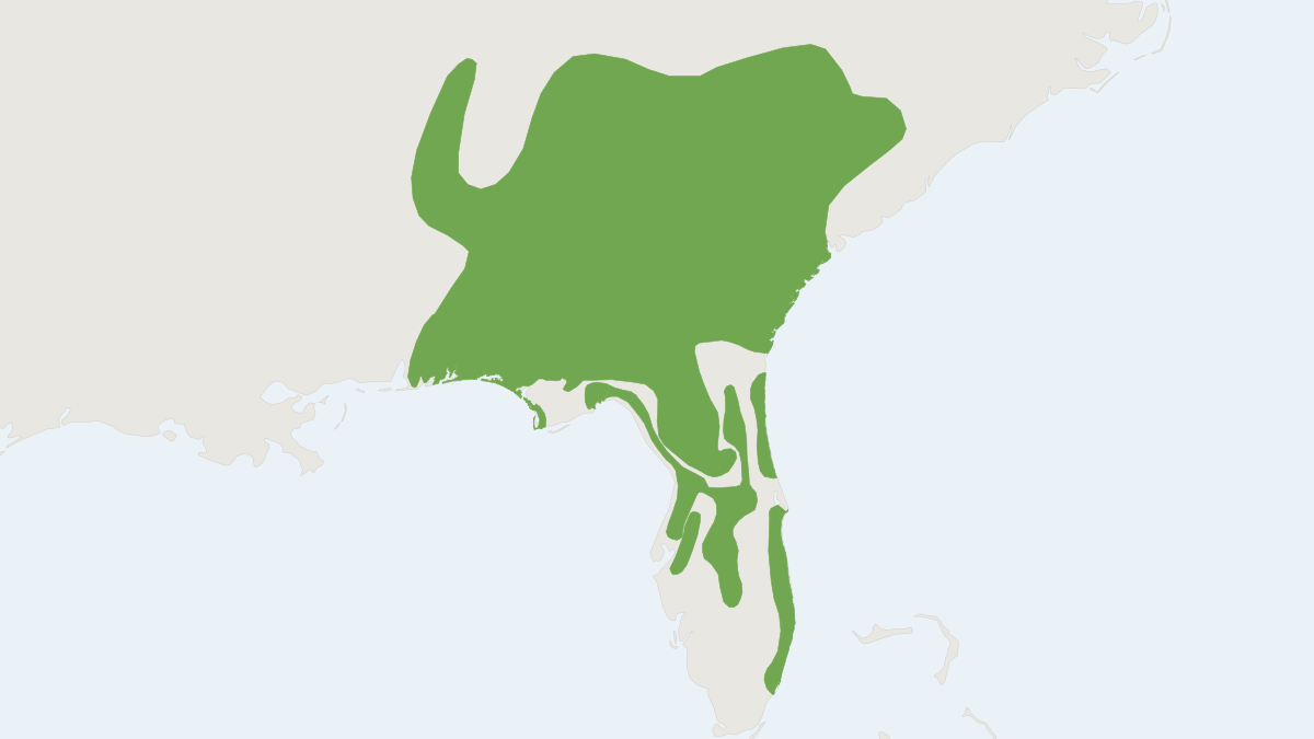 Range map of the Beach Mouse (Peromyscus polionotus)
