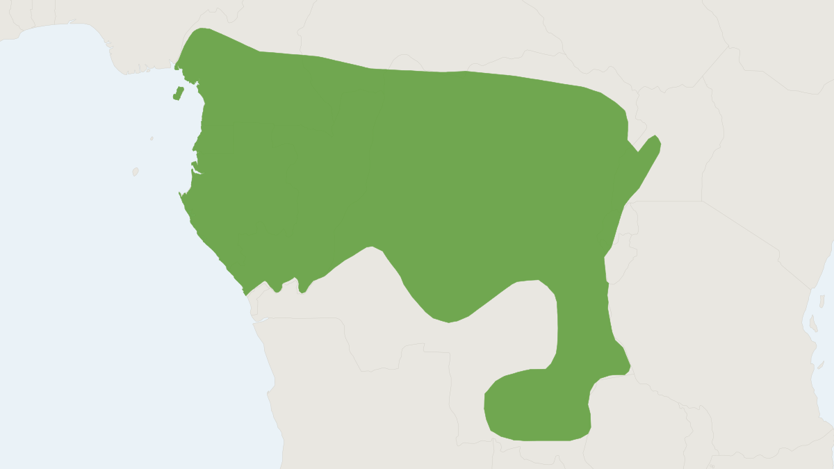 Range map of the Beaded Wood Mouse (Hylomyscus aeta)