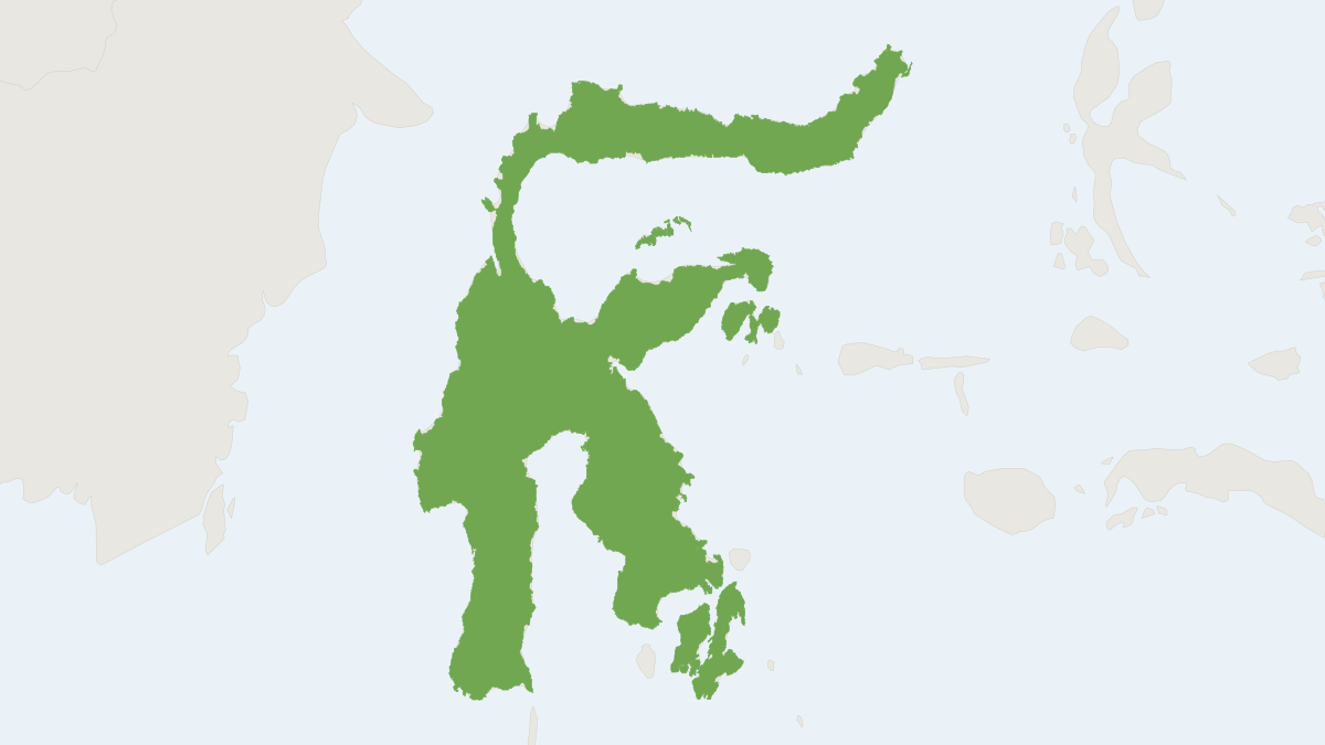 Range map of the Bear Cuscus (Ailurops ursinus)