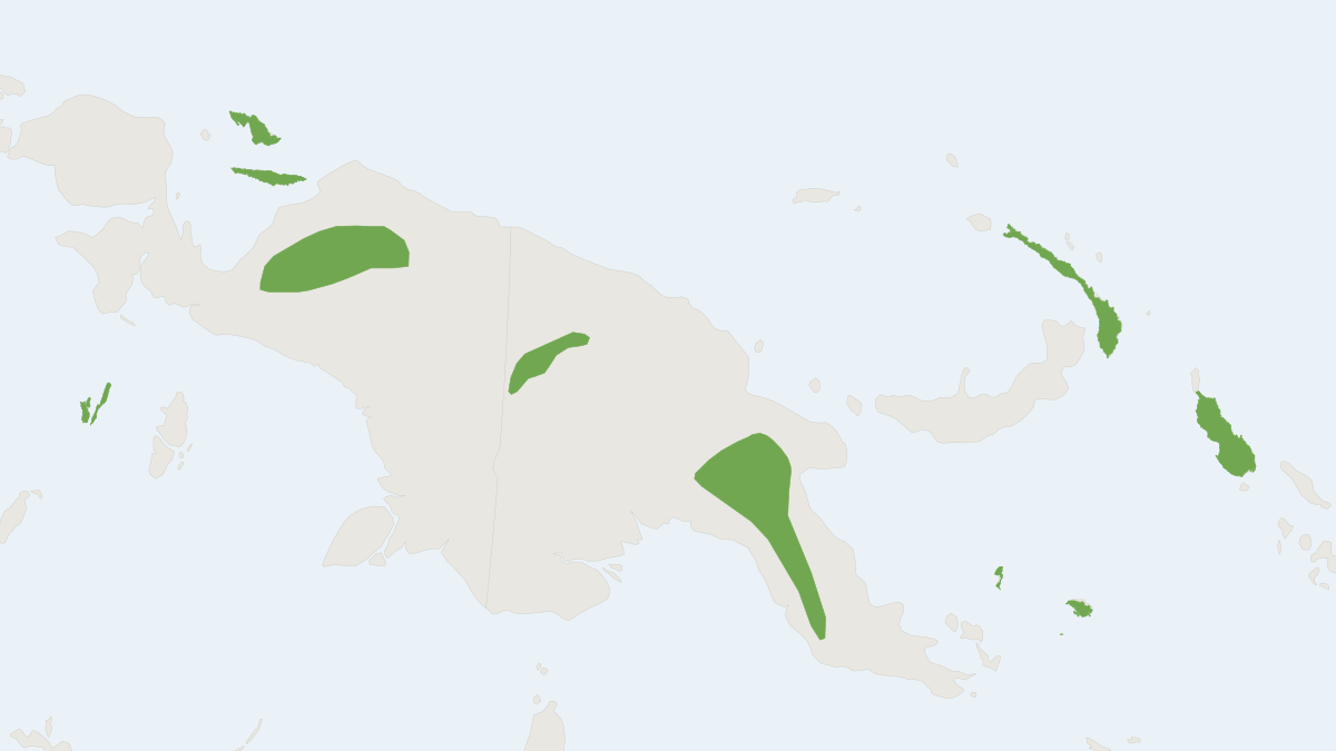 Range map of the Beccari's Sheath-tailed Bat (Emballonura beccarii)