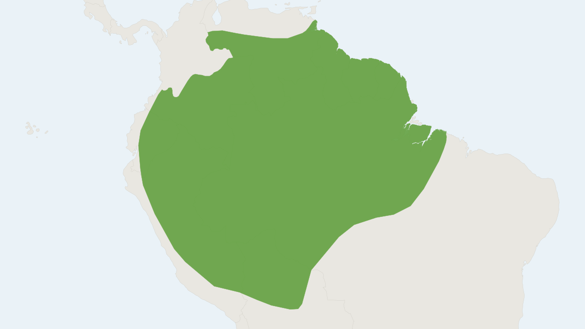 Range map of the Bedentate Yellow-eared Bat (Vampyriscus bidens)