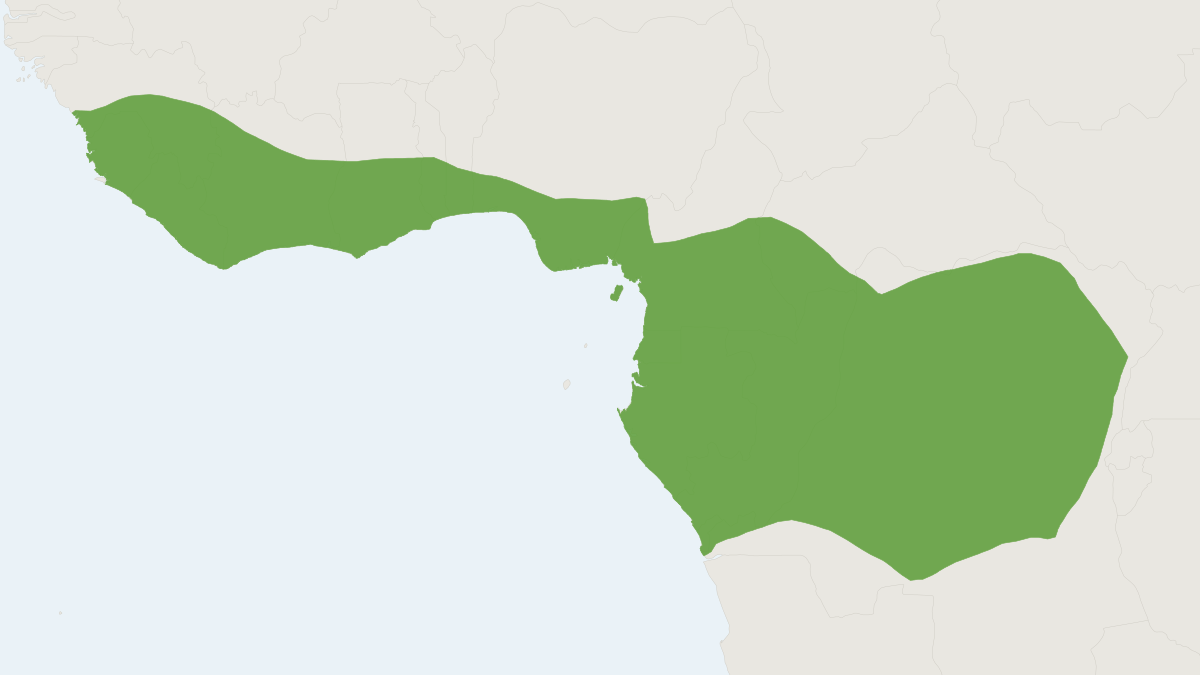 Range map of the Beecroft's Scaly-tailed Squirrel (Anomalurus beecrofti)